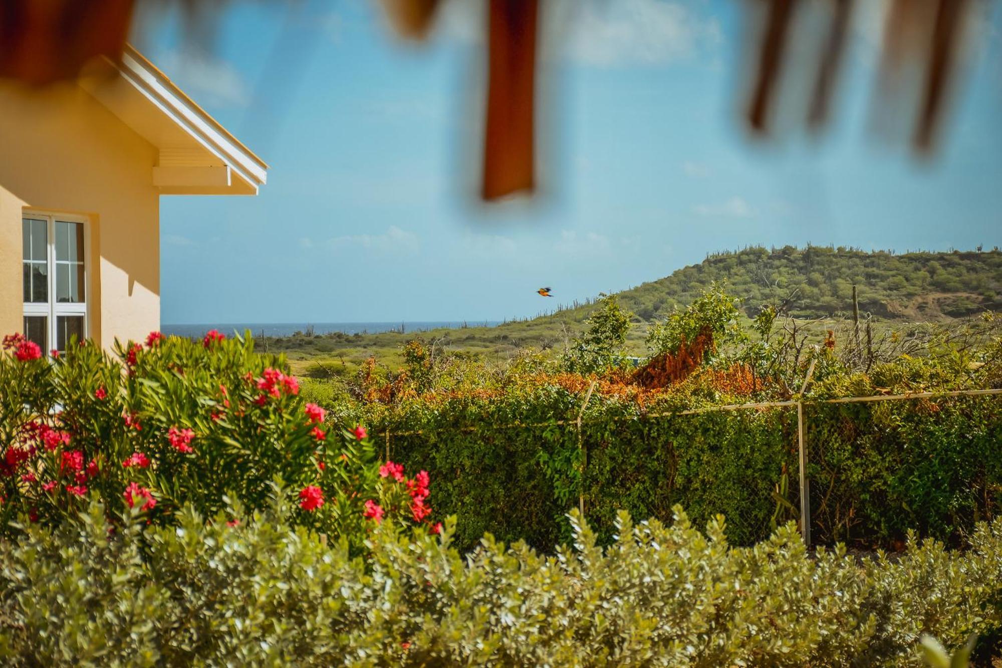 Santa Catharina Resort - Casa Samson Willemstad Exteriör bild